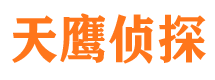 东丽市侦探公司